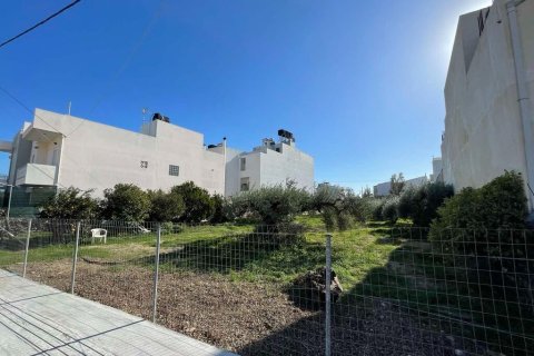 1002m² Land à Ierapetra, Greece No. 108365 2