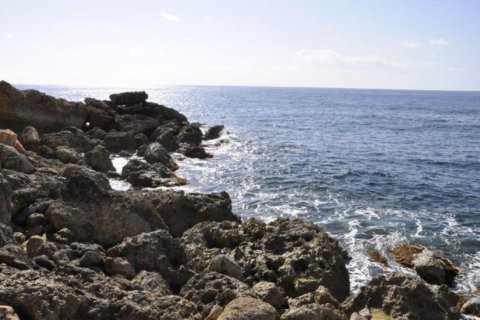 Studio Villa in Paphos, Cyprus No. 105753 8