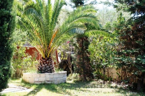 2 bedrooms House in Chalkidiki, Greece No. 54450 25