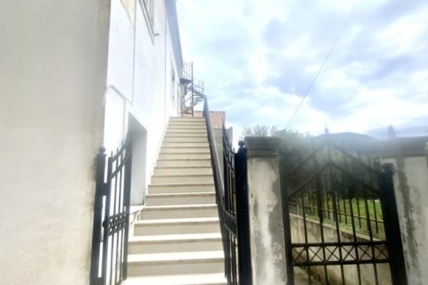 5 bedrooms Apartment in Corfu, Greece No. 109545 14