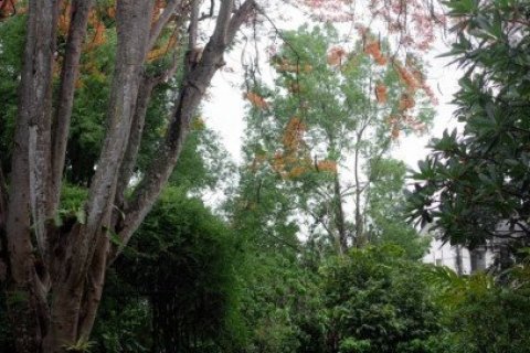 Villa in Chiang Mai, Thailand No. 97137 2