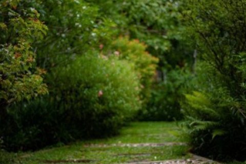 Villa in Chiang Mai, Thailand No. 97137 19