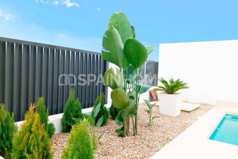 3 bedrooms Villa in Torrevieja, Spain No. 128269