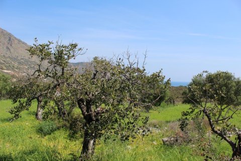 5889m² Land en Agios Nikolaos, Greece No. 57475 9