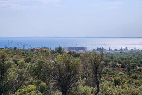 37500m² Land in Polygyros, Greece No. 55087 4