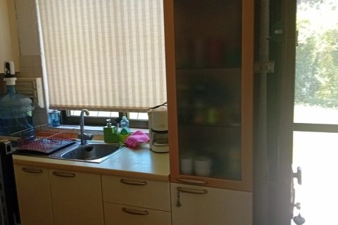 Квартира с 2 спальнями в Халкидики, Греция №107479 4