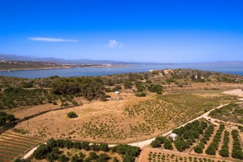 2 bedrooms Villa in Crete, Greece No. 52355 11