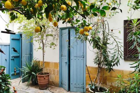 3 bedrooms House in Nicosia, Cyprus No. 101796 4