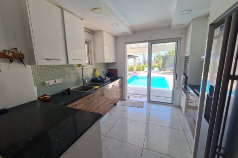 6 bedrooms Villa in Tala, Cyprus No. 36749 25