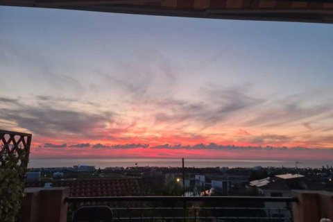 3 chambres House à Chloraka, Cyprus No. 79677 6