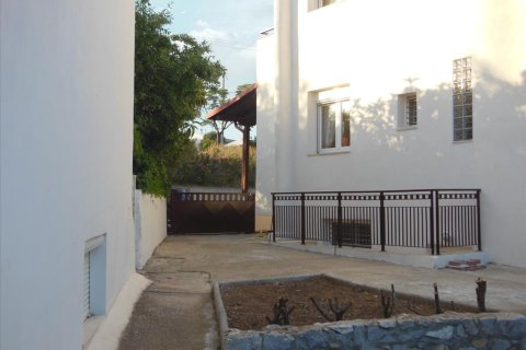 5 bedrooms Maisonette in Polygyros, Greece No. 58719 19