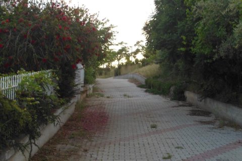 5 bedrooms Maisonette in Polygyros, Greece No. 58719 29