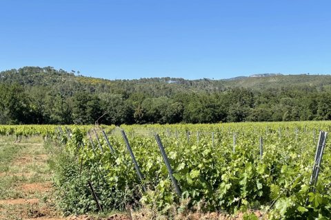 Дом 310м² в Котиньяк, Франция №68109 6