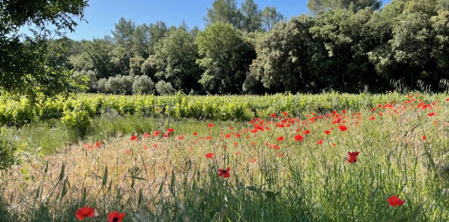 Дом студия в Котиньяк, Франция №68109