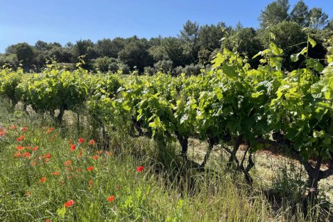 Дом 310м² в Котиньяк, Франция №68109 4