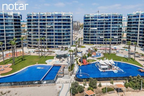Studio Appartement à Torrevieja, Spain No. 126878