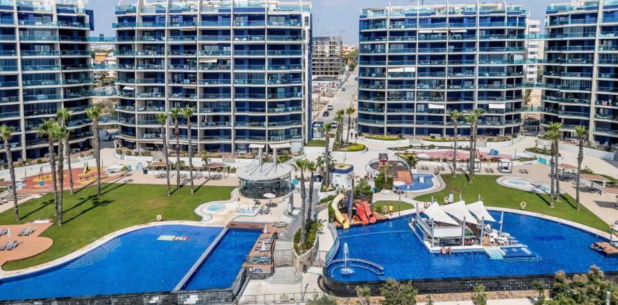 Studio Appartement à Torrevieja, Spain No. 126878