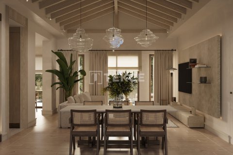 5 chambres Villa à Phi Dien, Vietnam No. 15952 8