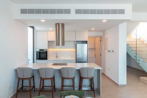 3 chambres Villa à Chloraka, Cyprus No. 73086 10