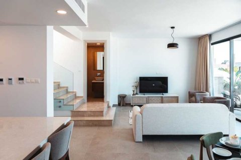 3 chambres Villa à Chloraka, Cyprus No. 73086 11