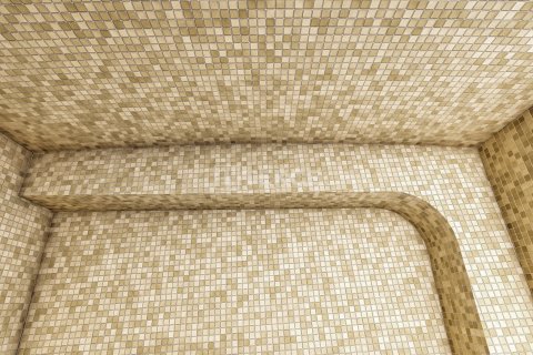 Пентхаус с 4 спальнями в Chau Lang, Вьетнам №12189 21