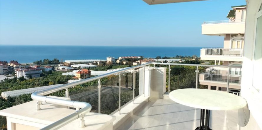 5 rooms Apartment in Demirtas, Turkey No. 21793