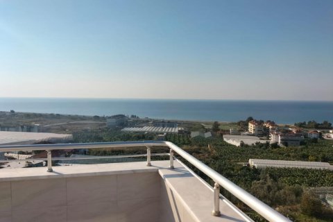 5 rooms Apartment in Ngu Hanh Son, Vietnam No. 21793 25