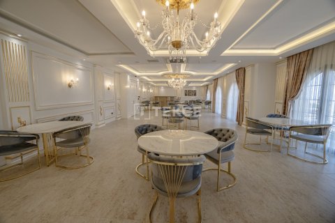 1 bedroom Apartment in Chau Lang, Vietnam No. 10940 12