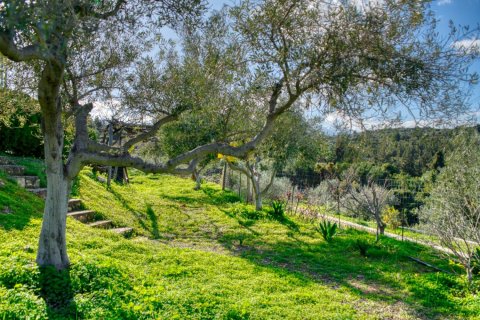 5 chambres Villa à Chania, Greece No. 76661 11