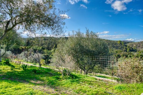 5 chambres Villa à Chania, Greece No. 76661 12