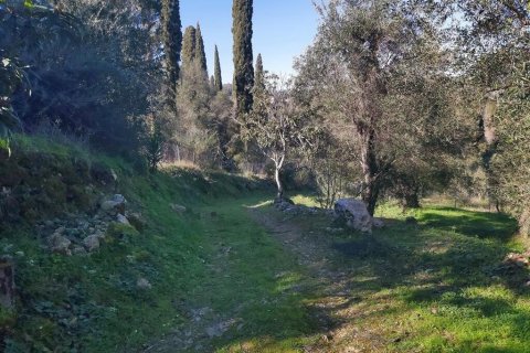 7000m² Land à Corfu, Greece No. 56119 28