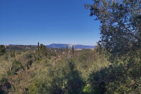7000m² Land à Corfu, Greece No. 56119 3