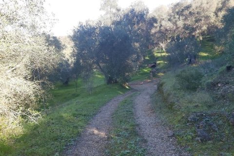 7000m² Land à Corfu, Greece No. 56119 19