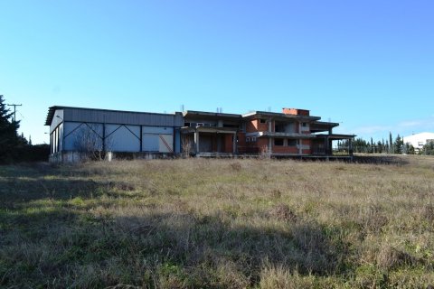 1800m² Commercial property in Thessaloniki, Greece No. 59947 2