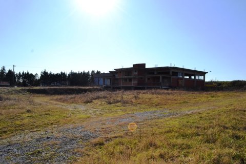 1800m² Commercial property in Thessaloniki, Greece No. 59947 1