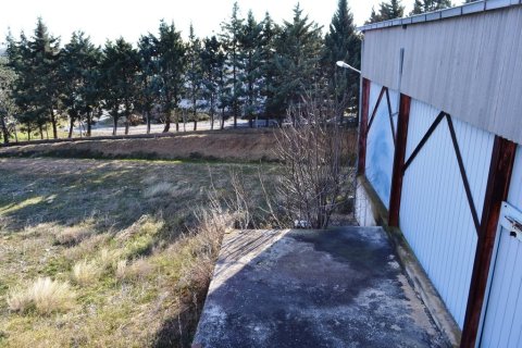 1800m² Commercial property in Thessaloniki, Greece No. 59947 12