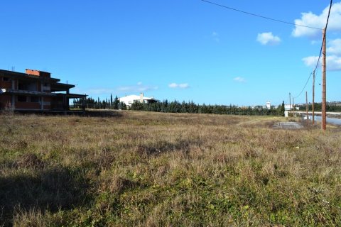 1800m² Commercial property in Thessaloniki, Greece No. 59947 22