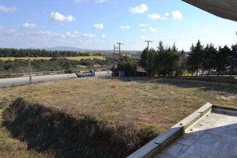 1800m² Commercial property in Thessaloniki, Greece No. 59947 3