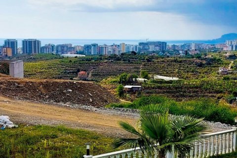 3 bedrooms Villa in Chau Lang, Vietnam No. 15917 11