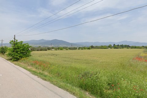 22185m² Land in Thermi, Greece No. 109337 3