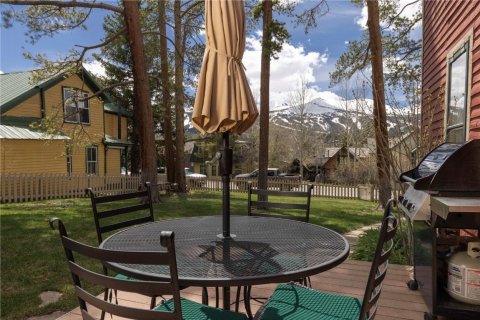 Дом с 4 спальнями в Брекенридж, США №62359 28