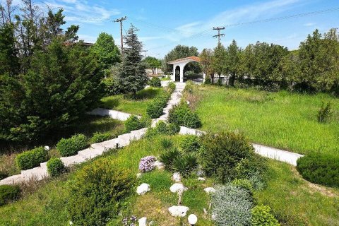 Дом 196м² в Халкидики, Греция №107746 19