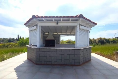 Дом 196м² в Халкидики, Греция №107746 4