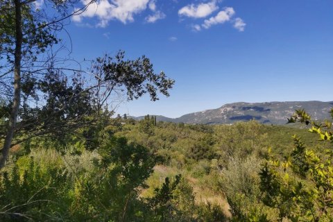 48000m² Land à Corfu, Greece No. 55843 6