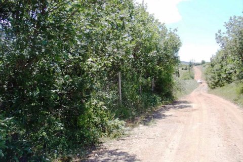 23750m² Land in Thessaloniki, Greece No. 59617 6