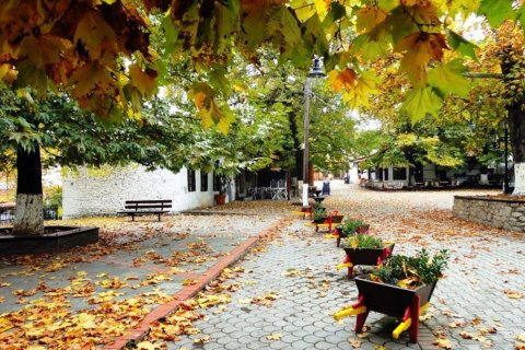 23750m² Land in Thessaloniki, Greece No. 59617 12