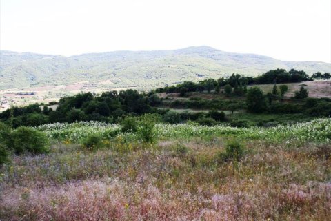 23750m² Land in Thessaloniki, Greece No. 59617 8