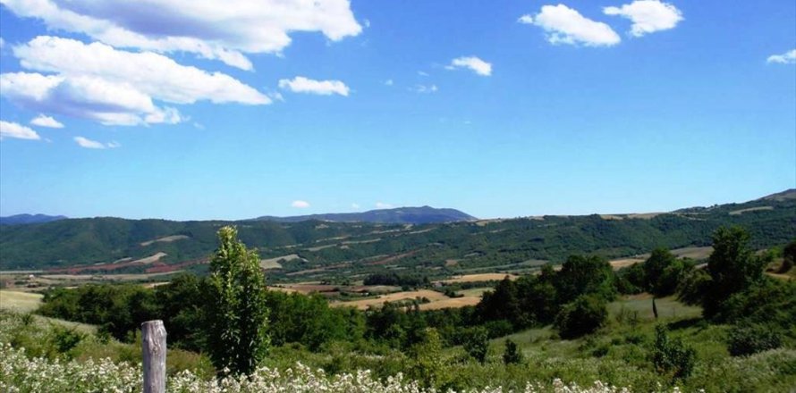 23750m² Land in Thessaloniki, Greece No. 59617