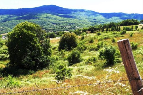 23750m² Land in Thessaloniki, Greece No. 59617 3