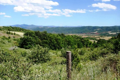 23750m² Land in Thessaloniki, Greece No. 59617 4